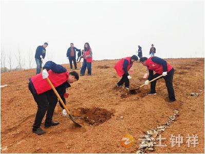洋梓镇：“梓”强不息桃为笔 绘就振兴新图景
