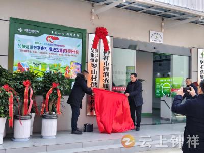 胡集镇罗山村：供销社“积分制 ” 激活乡村治理新引擎
