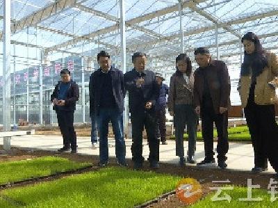 省农办 省自然资源厅 省农业农村厅联合调研钟祥耕地保护工作