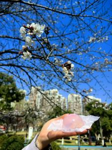 从挤景区到逛公园，外地游客重新定义武汉“必玩榜”