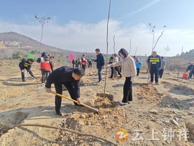 磷矿镇开展义务植树活动 为乡村振兴添绿