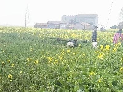 长滩镇：科技护航春耕 无人机统防统治助油菜稳产增收