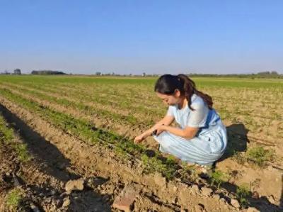 中国女性至高荣誉！田予爱荣获全国三八红旗手称号！