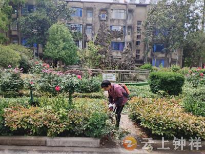 磷矿实验学校：校园筑绿绘新景 育人无声润心田