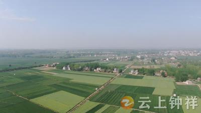 钟祥市多措并举早行动 蓄水保灌备春耕