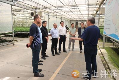中国智慧工程研究会产学研工作委员会在钟祥考察对接高效农业等项目合作事宜