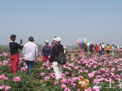 双河镇：相约水韵林坪 共赴芍药花季 