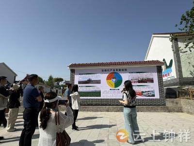 青春聚力 共话振兴——钟祥市人社局举办青年干部团建活动