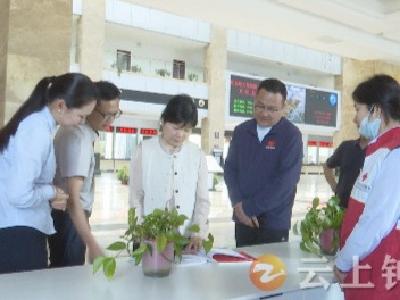 荆门市红十字会调研组调研钟祥市红十字工作