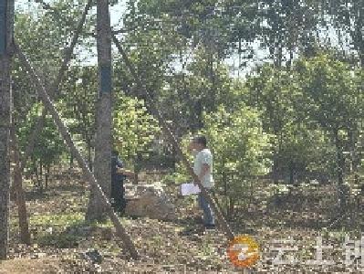 胡集镇：加强城镇管理 共创美好家园