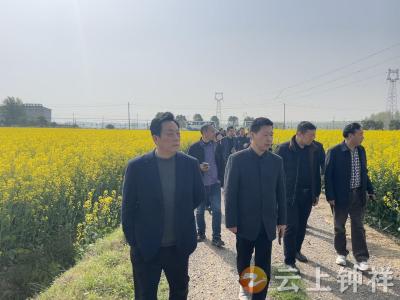 钟祥市开展2025年粮油作物大面积单产提升现场培训活动