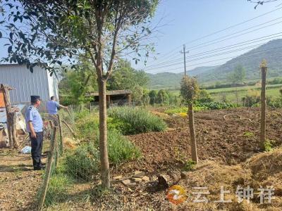 洋梓镇：春季踏查守净土 禁种铲毒正当时