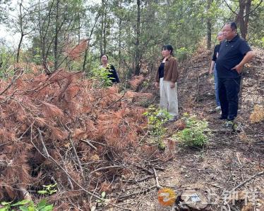 张集镇开展“聚力支点建设·代表行动” 以实干担当书写履职答卷