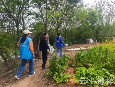 零种植！零产量！东桥镇开展禁种铲毒检查