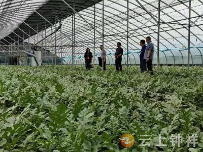 官庄湖管理区人大工委：履职尽责促发展，砥砺前行谱新篇