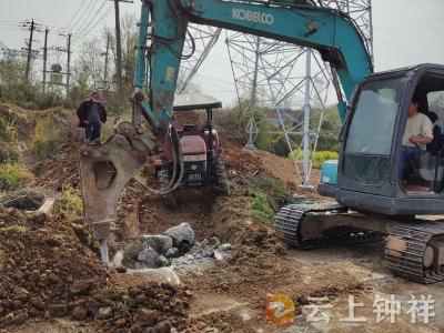 双河镇：众志成城战旱情 多措并举保春耕