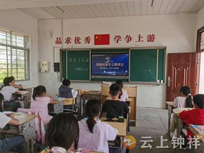 冷水镇杨岭小学开展全民国家安全教育日宣传活动