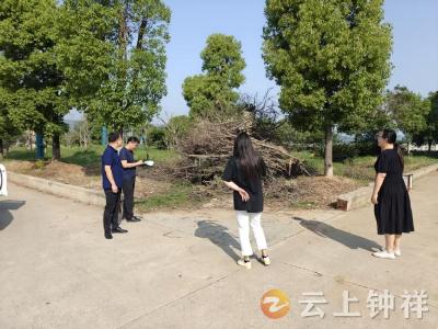 胡集镇开展人居环境整治检查 助力美丽乡村建设