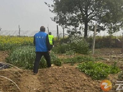 “零容忍”铲毒害！石牌镇胡冲村全面巡查不留死角