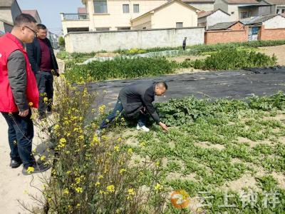 皇庄街道开展罂粟踏查行动 筑牢禁毒防线