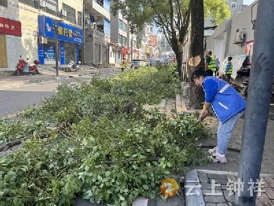 郢中街道中果园社区：网格员快速响应 为民解决“采光烦恼”