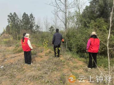 丰乐镇祝庄村多措并举筑牢清明防火“安全网”
