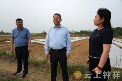 张勇在东桥镇调研督导乡村振兴资金使用监管突出问题专项整治和防汛抗旱等工作