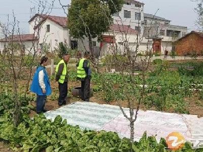 石牌镇桂竹村：“禁种铲毒”筑牢无毒村庄防线