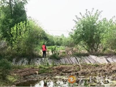 长寿镇红岭村开展禁种铲毒行动 守护绿色无毒家园