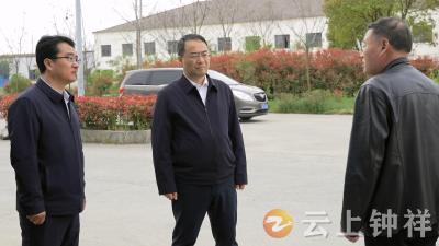 张勇检查安全生产 森林防火等工作