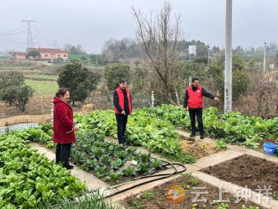 东桥镇马岭村：禁毒踏查无死角 守护家园零毒患