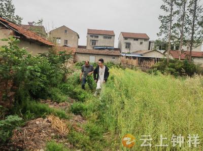 旧口镇罗岭村开展禁种铲毒行动 织密禁毒防护网