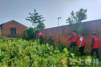 丰乐镇：“禁种踏查”筑牢禁毒防线