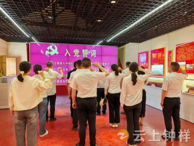 张集小学党支部开展红色教育活动