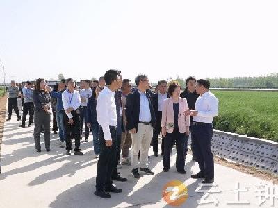 2025年长江中下游片区大面积单产提升现场观摩交流会在钟祥召开