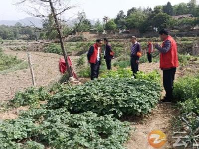 张集镇万金淌村：禁种铲毒守净土 网格联动护平安
