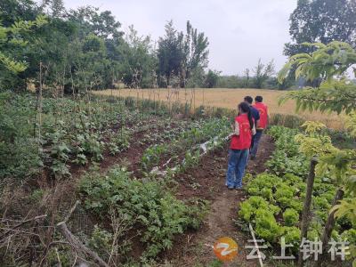 钟祥市东桥镇墩岭村： “小积分”筑起禁毒“大防线”