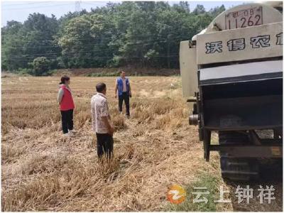 东桥镇三星村：严防秸秆“一把火” 筑牢禁烧“防火墙”