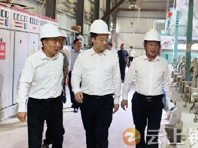 张勇在洋梓调研产业发展 项目建设等工作