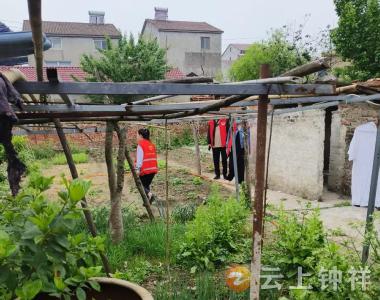 皇庄街道董家巷社区：“地毯式”踏查织密禁种铲毒网