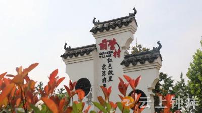 柴湖镇前营村：红色沃土绽放文明之花