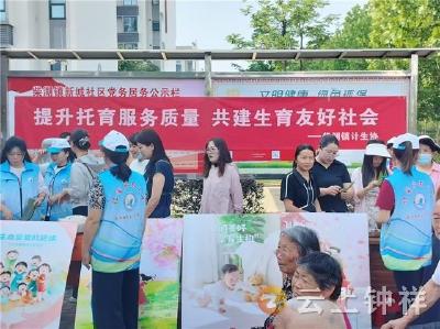 柴湖镇：“粽”情托育 助力生育友好
