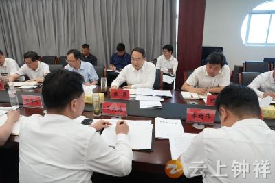 张勇调研胡集镇项目建设 产业发展等工作