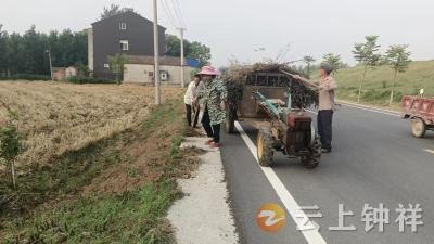 清秸秆 除“四乱”——丰乐镇大力开展秸秆清理工作