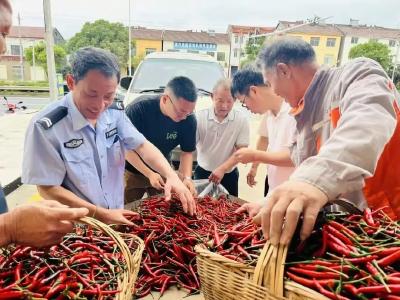 新时代东宝人丨韩冠：跨界逐梦田垄间 青春播种“椒”样红 