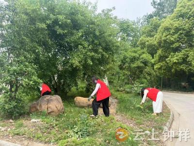 镜月湖社区共护水域环境保护行动
