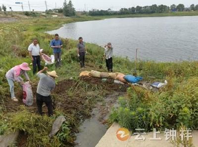 洋梓镇：干群同心战旱情 协力调水保丰收