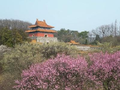 钟祥：不负风光美景 “花样”文旅激活一池春水