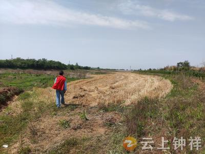 石牌镇横店村：“双管齐下”织密秸秆禁烧安全网
