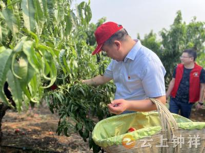 钟祥市人民医院：党员“政治生日”过在乡村振兴一线